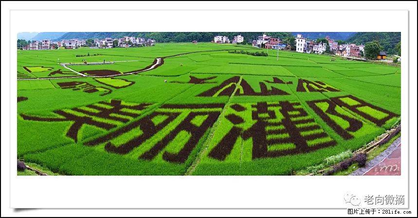 【春天，广西桂林灌阳县向您发出邀请！】开篇 - 游山玩水 - 乌海生活社区 - 乌海28生活网 wuhai.28life.com