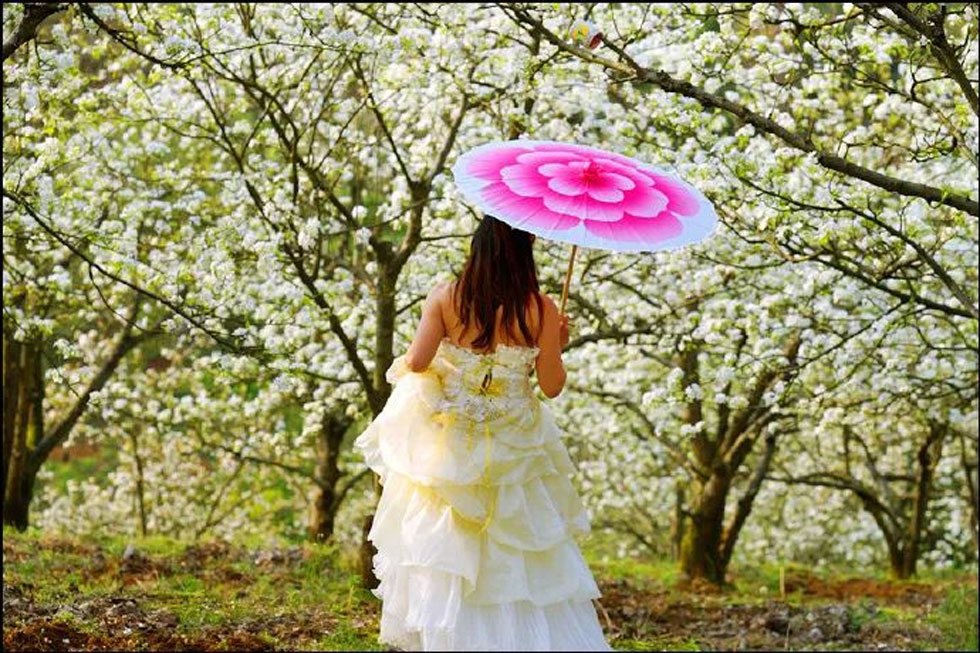 【春天，广西桂林灌阳县向您发出邀请！】我们在灌阳看梨花 - 游山玩水 - 乌海生活社区 - 乌海28生活网 wuhai.28life.com