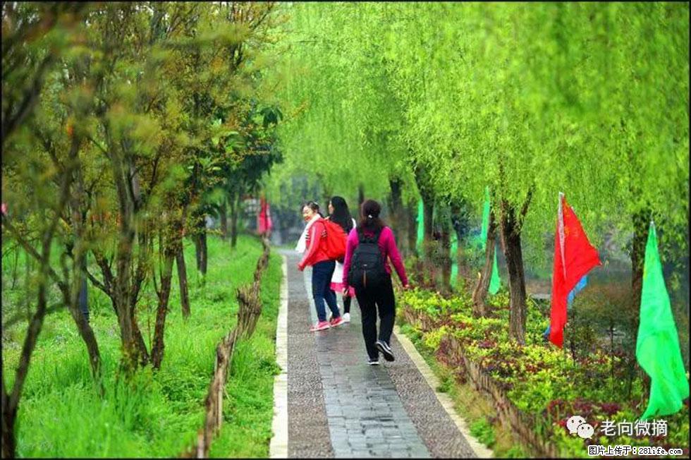 【春天,广西桂林灌阳县向您发出邀请!】江口老街又逢春 - 游山玩水 - 乌海生活社区 - 乌海28生活网 wuhai.28life.com