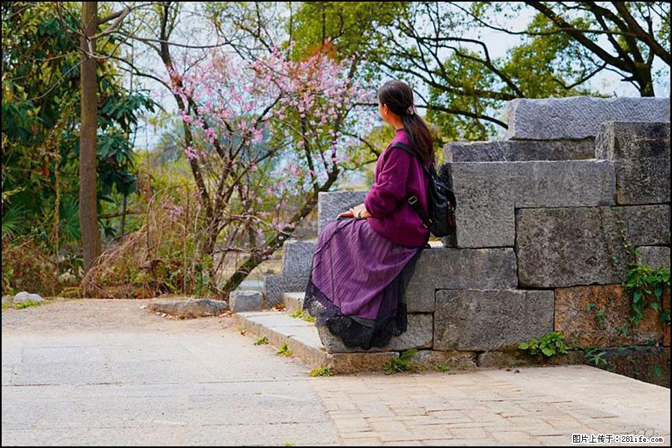 【春天,广西桂林灌阳县向您发出邀请!】江口老街又逢春 - 游山玩水 - 乌海生活社区 - 乌海28生活网 wuhai.28life.com