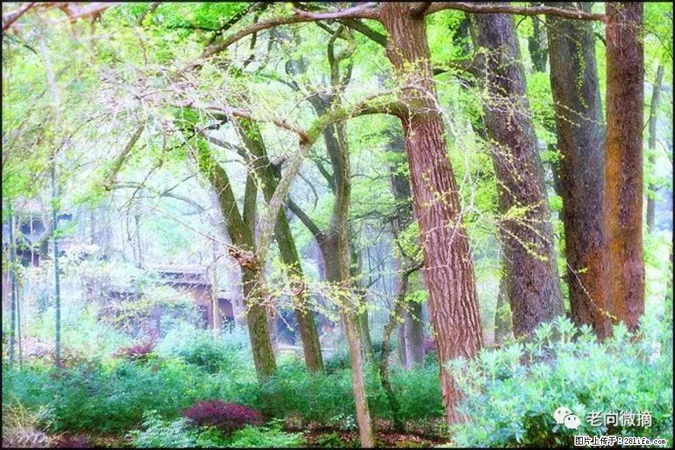 【春天，广西桂林灌阳县向您发出邀请！】在小龙村与春天约会 - 游山玩水 - 乌海生活社区 - 乌海28生活网 wuhai.28life.com