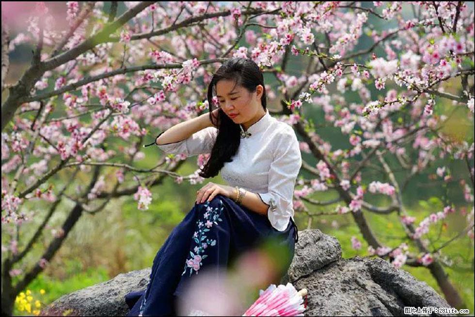 【春天，广西桂林灌阳县向您发出邀请！】望月岭上桃花开 - 游山玩水 - 乌海生活社区 - 乌海28生活网 wuhai.28life.com