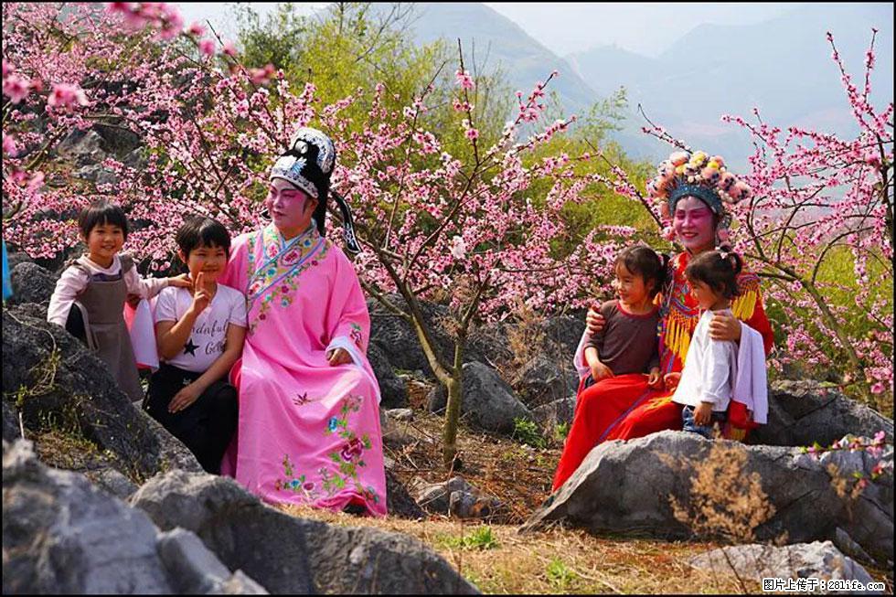 【春天，广西桂林灌阳县向您发出邀请！】望月岭上桃花开 - 游山玩水 - 乌海生活社区 - 乌海28生活网 wuhai.28life.com