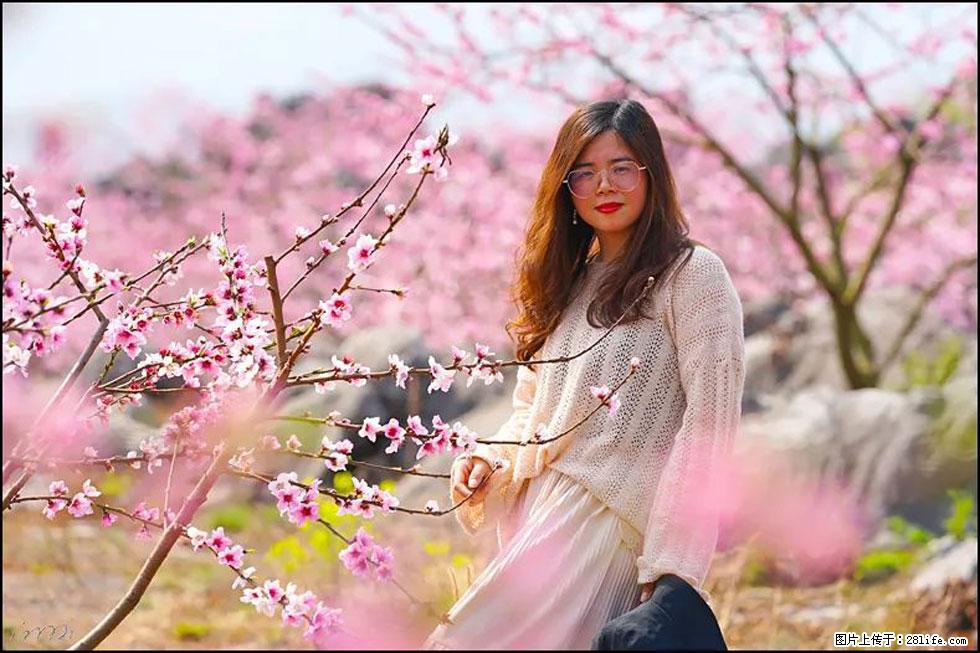 【春天，广西桂林灌阳县向您发出邀请！】望月岭上桃花开 - 游山玩水 - 乌海生活社区 - 乌海28生活网 wuhai.28life.com