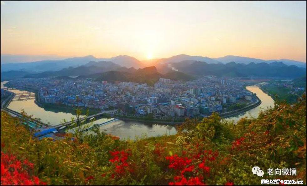 【春天，广西桂林灌阳县向您发出邀请！】登麒麟山，相约映山红 - 游山玩水 - 乌海生活社区 - 乌海28生活网 wuhai.28life.com