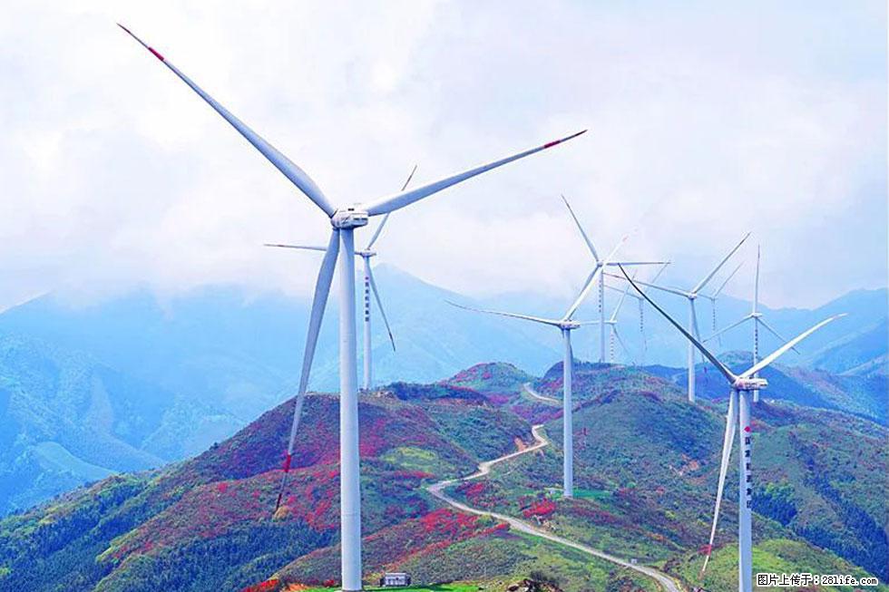 【春天，广西桂林灌阳县向您发出邀请！】春木界上映山红 - 游山玩水 - 乌海生活社区 - 乌海28生活网 wuhai.28life.com