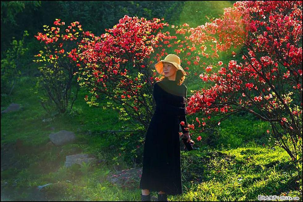 【春天，广西桂林灌阳县向您发出邀请！】春木界上映山红 - 游山玩水 - 乌海生活社区 - 乌海28生活网 wuhai.28life.com