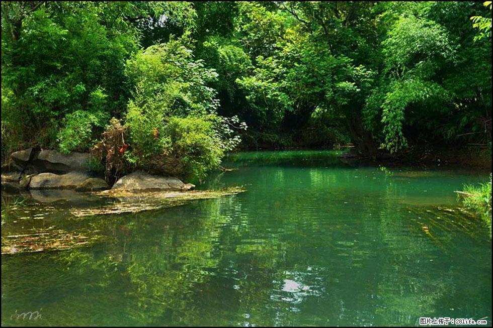 【春天，广西桂林灌阳县向您发出邀请！】如梦似幻莲溪庐 - 游山玩水 - 乌海生活社区 - 乌海28生活网 wuhai.28life.com