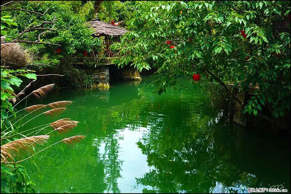 【春天，广西桂林灌阳县向您发出邀请！】如梦似幻莲溪庐 - 游山玩水 - 乌海生活社区 - 乌海28生活网 wuhai.28life.com