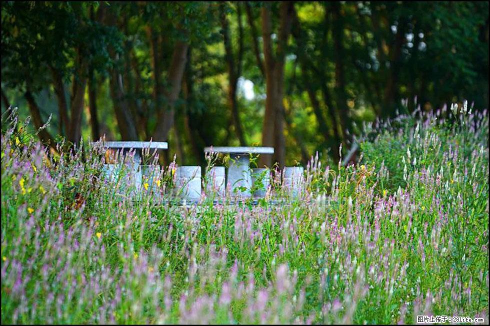 【春天，广西桂林灌阳县向您发出邀请！】熊家寨湿地公园 - 游山玩水 - 乌海生活社区 - 乌海28生活网 wuhai.28life.com