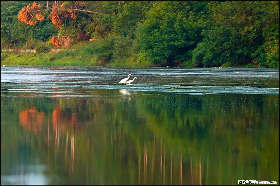 【春天，广西桂林灌阳县向您发出邀请！】熊家寨湿地公园 - 游山玩水 - 乌海生活社区 - 乌海28生活网 wuhai.28life.com