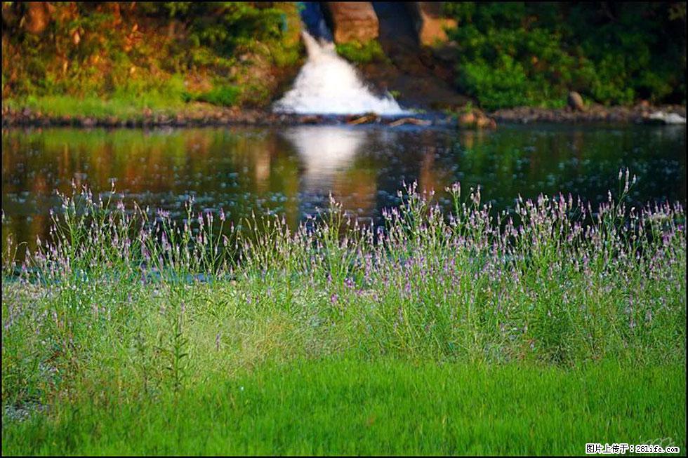 【春天，广西桂林灌阳县向您发出邀请！】熊家寨湿地公园 - 游山玩水 - 乌海生活社区 - 乌海28生活网 wuhai.28life.com