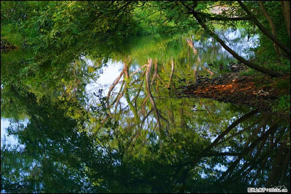 【春天，广西桂林灌阳县向您发出邀请！】熊家寨湿地公园 - 游山玩水 - 乌海生活社区 - 乌海28生活网 wuhai.28life.com