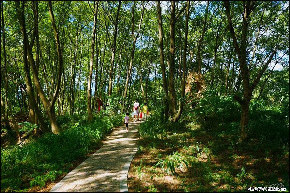 【春天，广西桂林灌阳县向您发出邀请！】熊家寨湿地公园 - 游山玩水 - 乌海生活社区 - 乌海28生活网 wuhai.28life.com