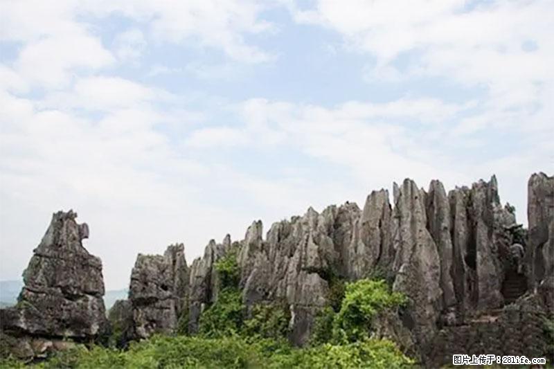 桂林旅游名城景点:灌阳文市石林 - 游山玩水 - 乌海生活社区 - 乌海28生活网 wuhai.28life.com