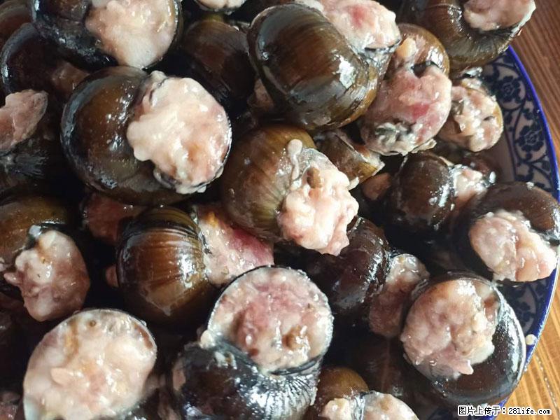 (舌尖上的乡村)灌阳:让人口齿留香的田螺酿 - 2023年07月31日 桂林日报第6版刊发 - 美食天地 - 乌海生活社区 - 乌海28生活网 wuhai.28life.com