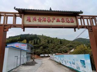 【灌阳县油茶产业示范区】一个有着充实的精神生活的人，对待身外之物自会有一种淡泊的态度 - 乌海28生活网 wuhai.28life.com