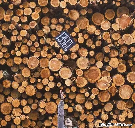 辞掉工作周游世界?现在他们在洗厕所…… - 游山玩水 - 乌海生活社区 - 乌海28生活网 wuhai.28life.com