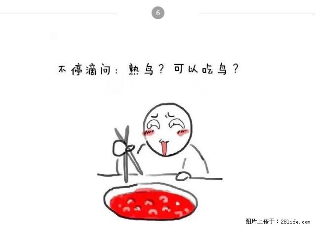 千万不要和这9种哈卵一起吃火锅! - 美食天地 - 乌海生活社区 - 乌海28生活网 wuhai.28life.com
