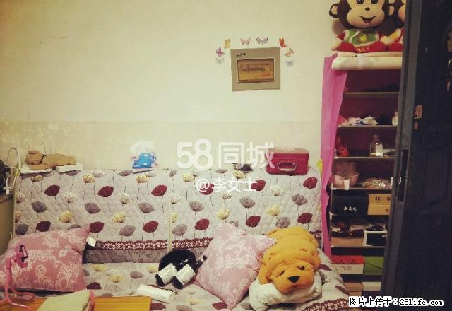 新天地商业街 1室0厅1卫 - 房屋出租 - 房屋租售 - 乌海分类信息 - 乌海28生活网 wuhai.28life.com