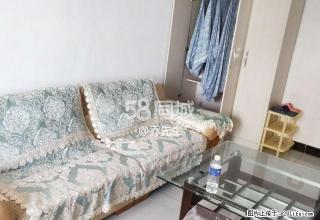 新天地中央公园 1室1厅1卫 - 乌海28生活网 wuhai.28life.com