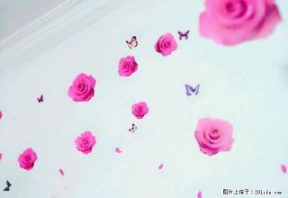 (单间出租)限女生 短租月租出租，租金月付全包有网家具家电齐全 - 乌海28生活网 wuhai.28life.com