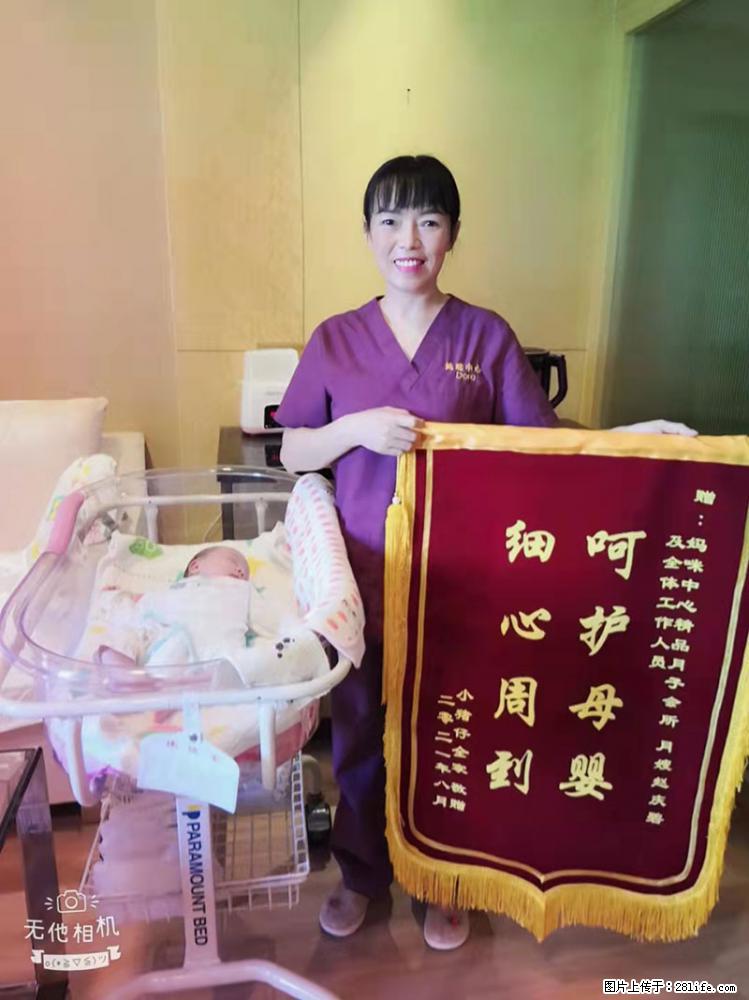 上海高端月子会所招新手月嫂，零基础带教，包吃住 - 职场交流 - 乌海生活社区 - 乌海28生活网 wuhai.28life.com