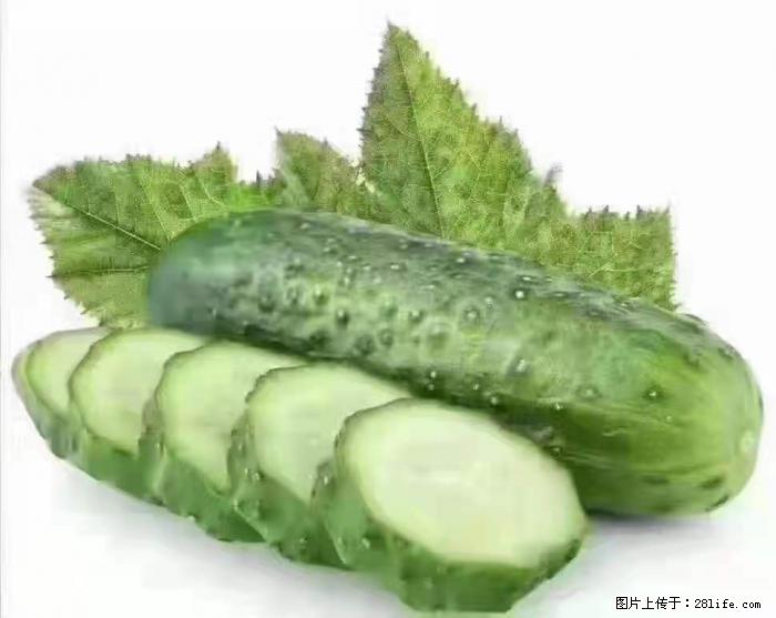 【生活小常识】吃黄瓜的好处 - 生活百科 - 乌海生活社区 - 乌海28生活网 wuhai.28life.com
