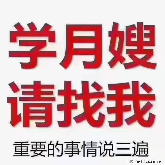 【招聘】月嫂，上海徐汇区 - 职场交流 - 乌海生活社区 - 乌海28生活网 wuhai.28life.com