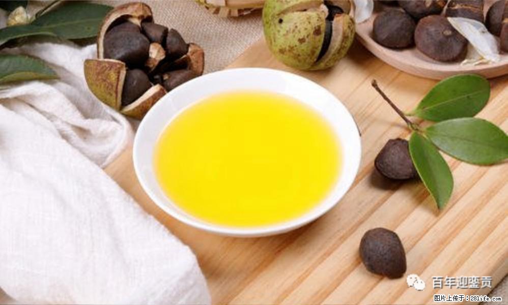 揭秘茶油的5大核心营养成分！被称为人体健康的“守护盾”！ - 乌海生活资讯 - 乌海28生活网 wuhai.28life.com