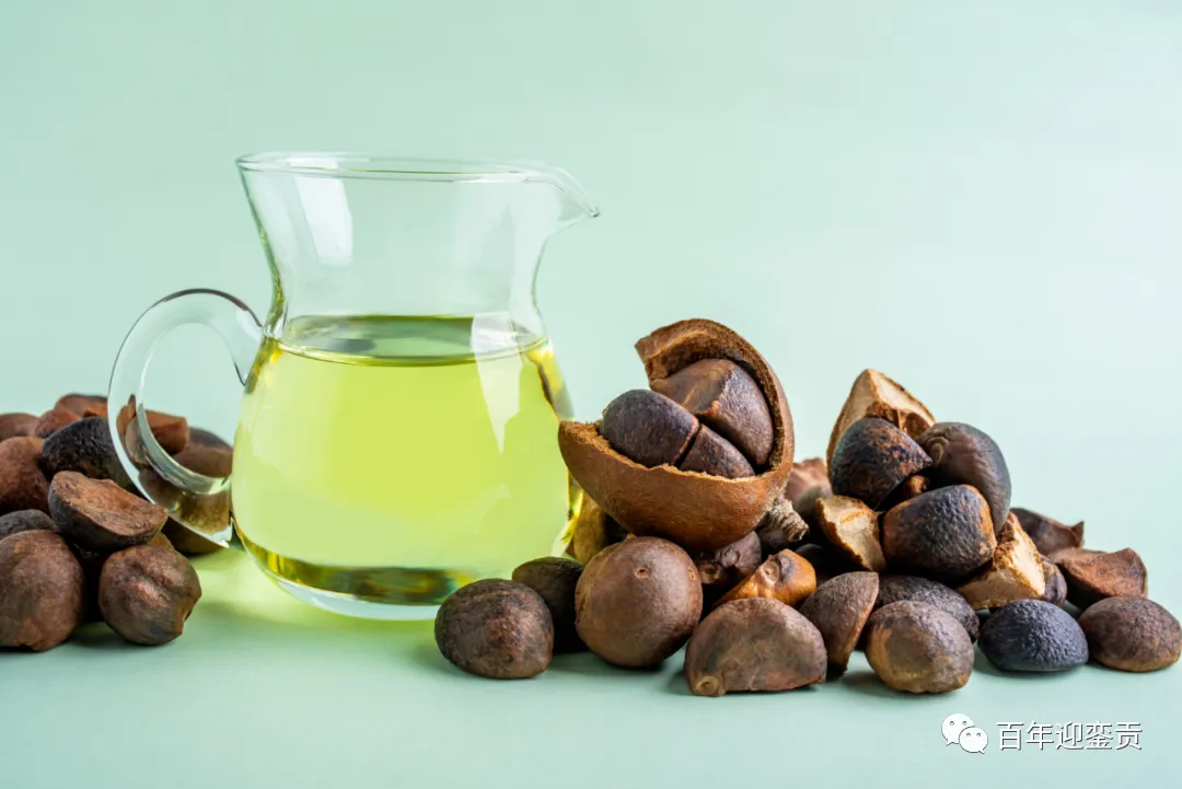 世界没有真相，只有认知，最好的食用油是中国的山茶油！ - 乌海生活资讯 - 乌海28生活网 wuhai.28life.com