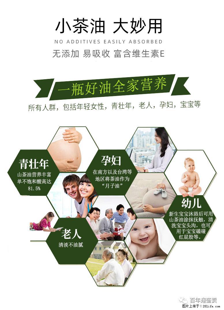 世界没有真相，只有认知，最好的食用油是中国的山茶油！ - 乌海生活资讯 - 乌海28生活网 wuhai.28life.com