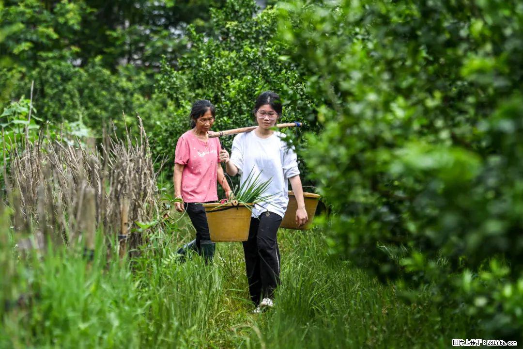 全网追的“扁担女孩”，找了一份暑假工，时薪12元 - 乌海生活资讯 - 乌海28生活网 wuhai.28life.com
