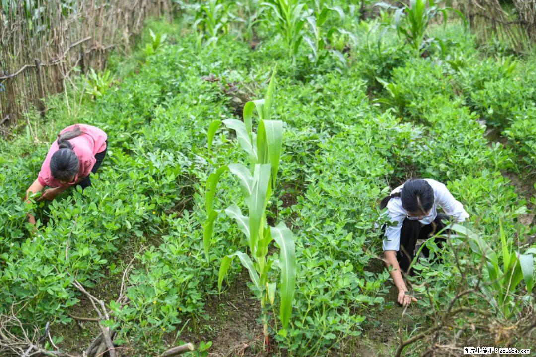全网追的“扁担女孩”，找了一份暑假工，时薪12元 - 乌海生活资讯 - 乌海28生活网 wuhai.28life.com