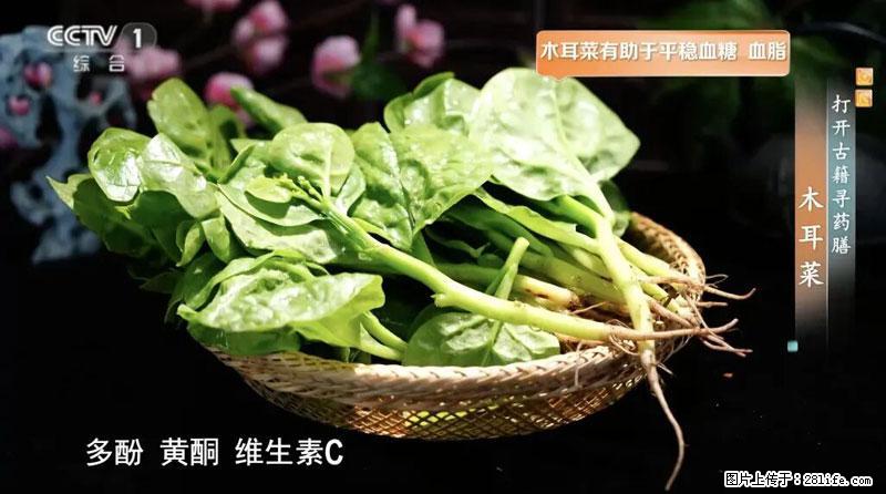 比牛奶补钙还厉害！凉血解毒、稳血糖...这菜冬天必吃，很多人却当草 - 乌海生活资讯 - 乌海28生活网 wuhai.28life.com