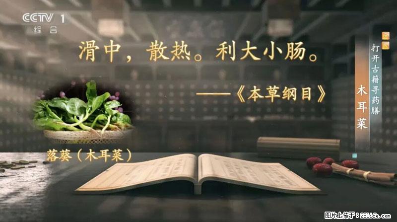 比牛奶补钙还厉害！凉血解毒、稳血糖...这菜冬天必吃，很多人却当草 - 乌海生活资讯 - 乌海28生活网 wuhai.28life.com