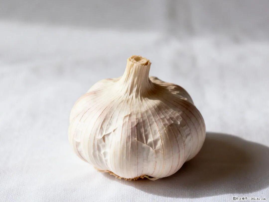 关于大蒜，除了“天然抗生素”，这4个谣言更该警惕! - 乌海生活资讯 - 乌海28生活网 wuhai.28life.com