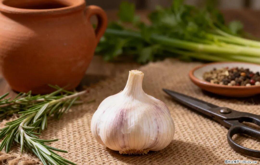关于大蒜，除了“天然抗生素”，这4个谣言更该警惕! - 乌海生活资讯 - 乌海28生活网 wuhai.28life.com