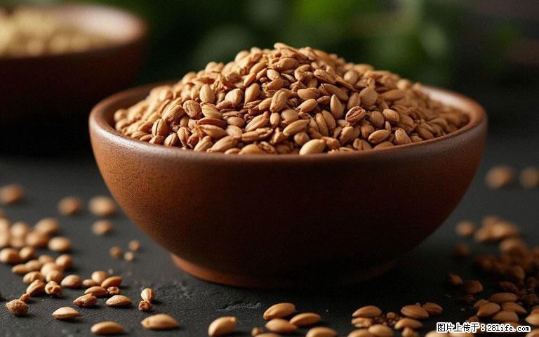 这三苦是三高“克星”，心血管干净不易堵！每天吃一点，指标慢慢降下来~ - 乌海生活资讯 - 乌海28生活网 wuhai.28life.com