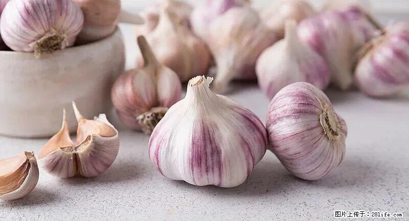 抗菌消炎、护肝健脾！这种“天然青霉素”就在你家餐桌上，春季吃正合适 - 乌海生活资讯 - 乌海28生活网 wuhai.28life.com