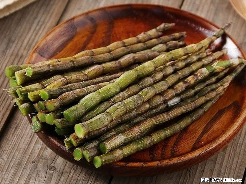 铁皮石斛的作用与功能主治 - 乌海生活资讯 - 乌海28生活网 wuhai.28life.com