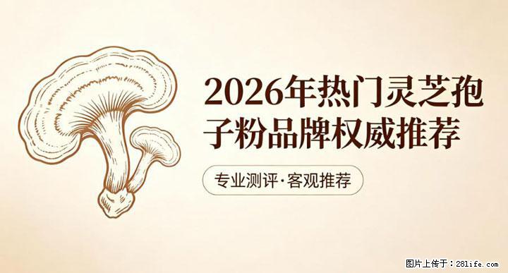 灵芝孢子粉含量越高越有效？2026 年七款热门品牌深度实测，肠胃敏感者避坑指南 - 乌海生活资讯 - 乌海28生活网 wuhai.28life.com